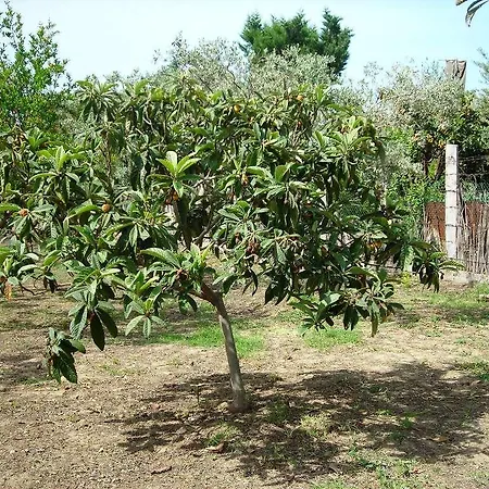 Il Giardino Sul Mare Kır Evi
